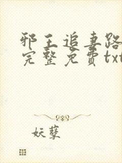 邪王追妻路子野完整免费txt下载
