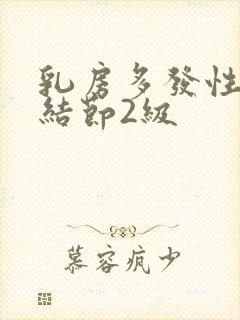 乳房多发性囊性结节2级