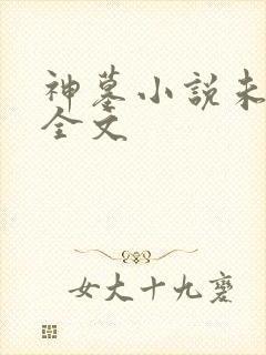 神墓小说未删版全文