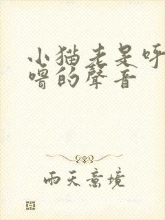 小猫老是呼噜呼噜的声音