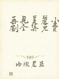 再见美丽小姐韩剧全集免费观看