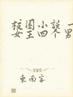 校园小说 一个女主四个男主封面