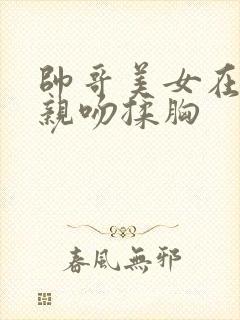 帅哥美女在一起亲吻揉胸