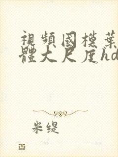 视频国模叶贤人体大尺度hd