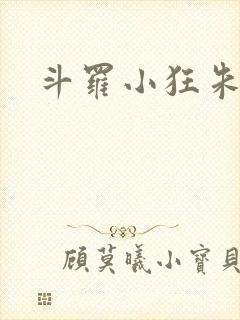 斗罗小狂朱竹清