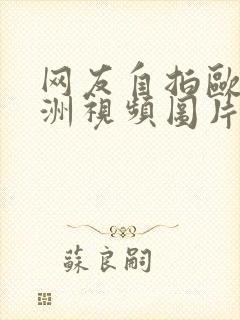 网友自拍欧美亚洲视频图片小说封面