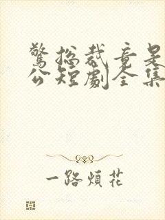 惊总裁竟是我老公短剧全集完整版