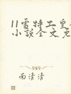 11处特工皇妃小说全文免费阅读