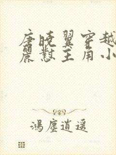 唐晓翼穿越叶罗丽怼主角小说