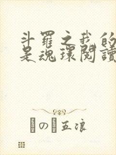 斗罗之我的武魂是魂环阅读阅读全文