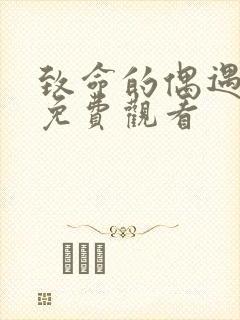 致命的偶遇电影免费观看封面