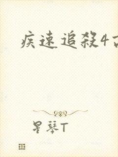 疾速追杀4高清封面