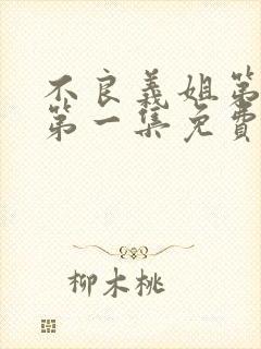 不良义姐第一季第一集免费观看