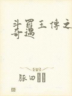 斗罗玉传之不乐奇遇封面