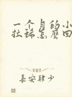 一个月的小马犬拉稀怎么回事