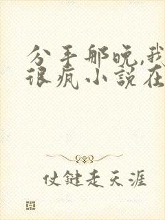 分手那晚,我们很疯小说在线阅读