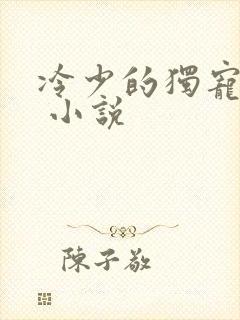 冷少的独宠娇妻 小说封面