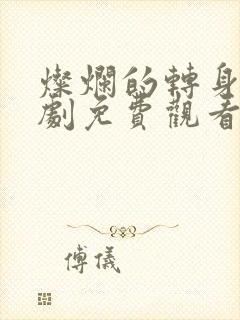 灿烂的转身电视剧免费观看在线封面