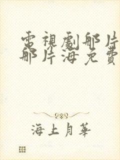 电视剧那片星空那片海免费观看