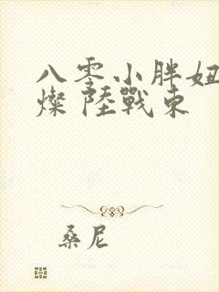 八零小胖妞 苏灿 陆战东
