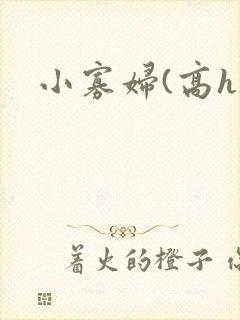 小寡妇(高h)
