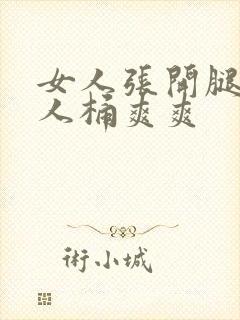 女人张开腿让男人桶爽爽