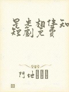 星光相伴知我意短剧免费