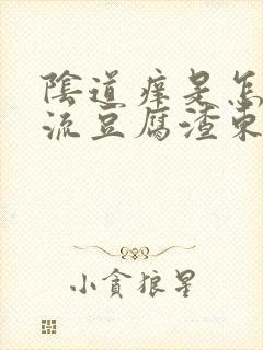 阴道痒是怎么办流豆腐渣东西封面