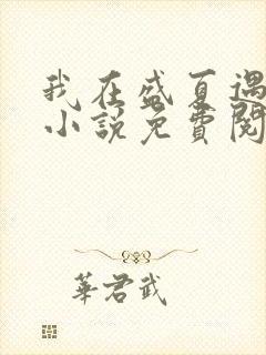 我在盛夏遇见雪小说免费阅读封面