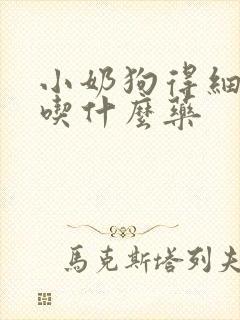 小奶狗得细小病吃什么药