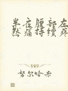 半夜腹部左边突然痛持续疼痛