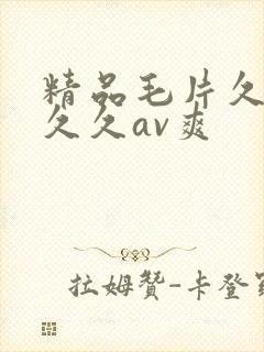 精品毛片久久久久久av爽封面