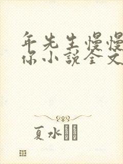 年先生慢慢喜欢你小说全文免费阅读封面