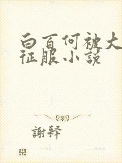 白百何被大肉楱征服小说封面