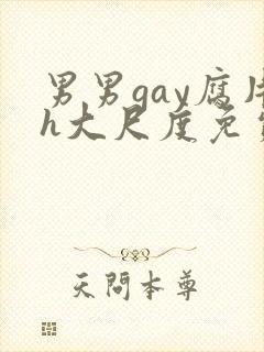 男男gay腐片h大尺度免费