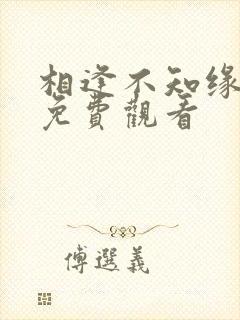 相逢不知缘短剧免费观看