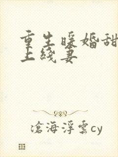重生暖婚甜妻新上线妻封面