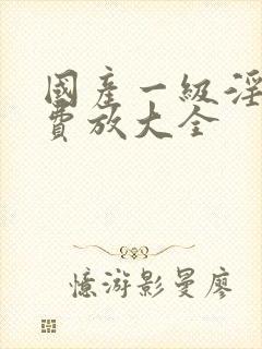 国产一级淫片免费放大全