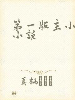 第一版主小说网小说封面