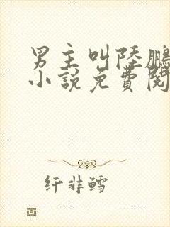 男主叫陆鹏飞的小说免费阅读