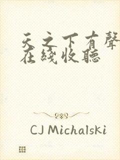 天之下有声小说在线收听