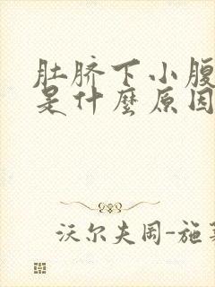 肚脐下小腹胀痛是什么原因