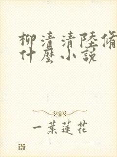 柳清清陆修齐是什么小说