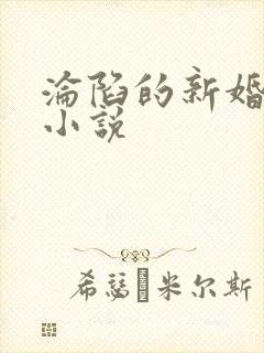 沦陷的新婚少妇小说