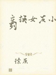 交换女友小说系列