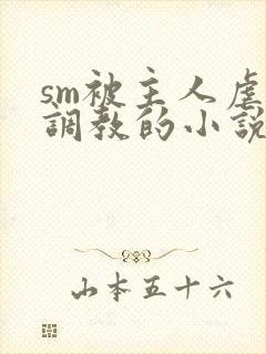 sm被主人虐玩调教的小说封面