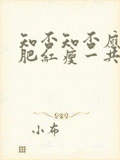 知否知否应是绿肥红瘦一共多少集