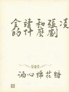 金靖和张凌赫演的什么剧封面