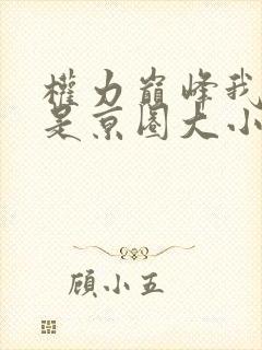 权力巅峰我老婆是京圈大小姐免费阅读封面