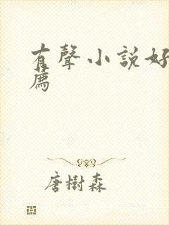 有声小说好听推荐封面